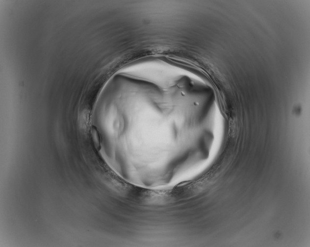 X0000096990093200802291219