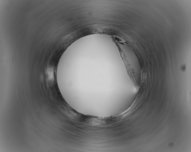 X0000096990094200802291219