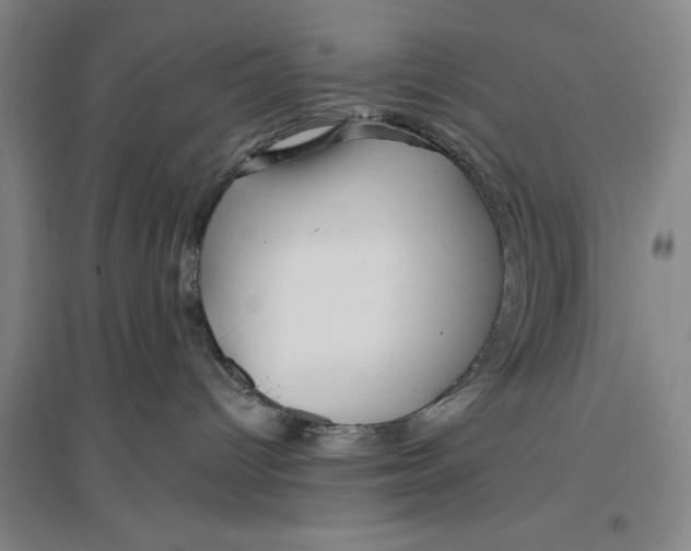 X0000096990096200802291219