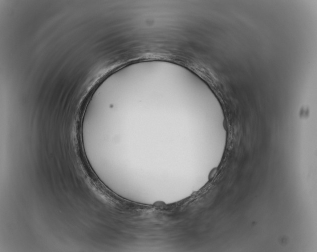 X0000096990098200802291219