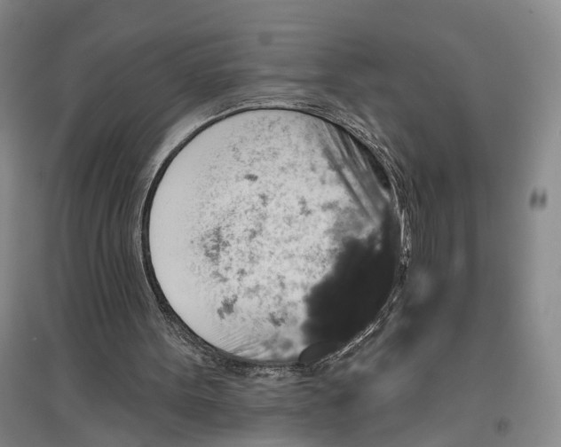 X0000096990099200802291219