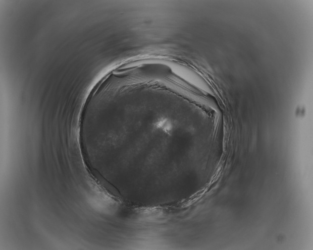 X0000096990100200802291219