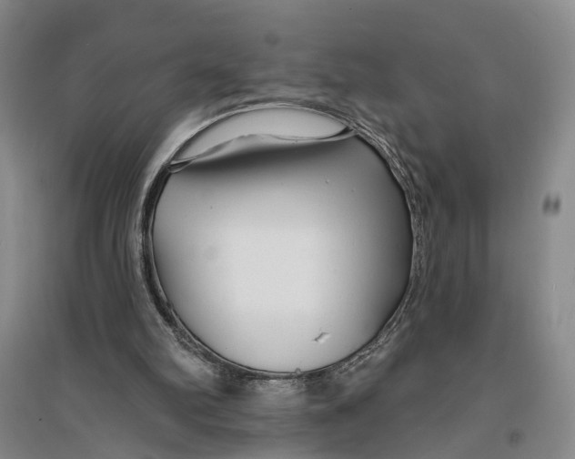 X0000096990102200802291219