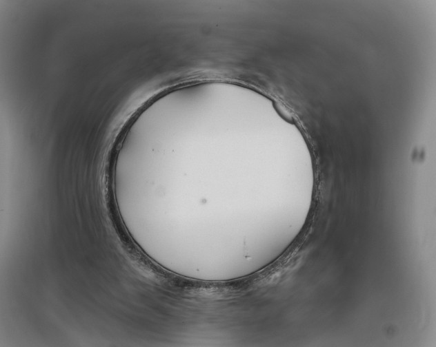 X0000096990103200802291219