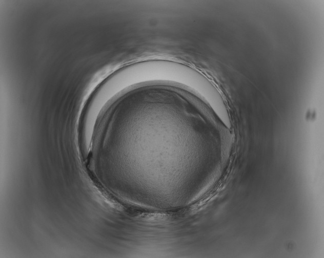 X0000096990104200802291219