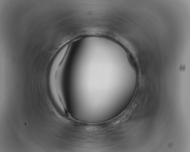 X0000096990105200802291219