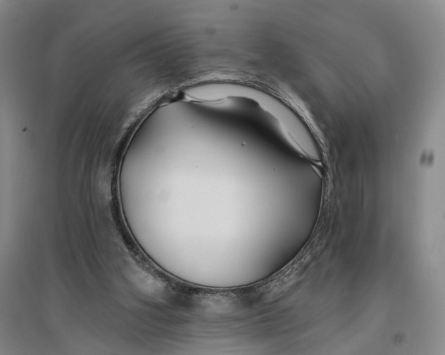 X0000096990106200802291219