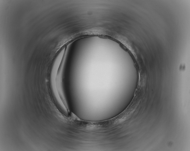 X0000096990109200802291219