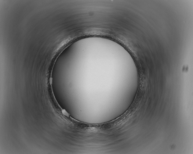 X0000096990111200802291218