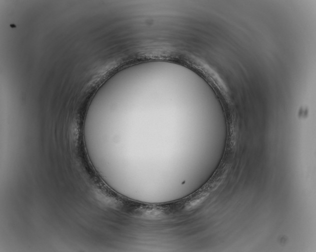 X0000096990113200802291218