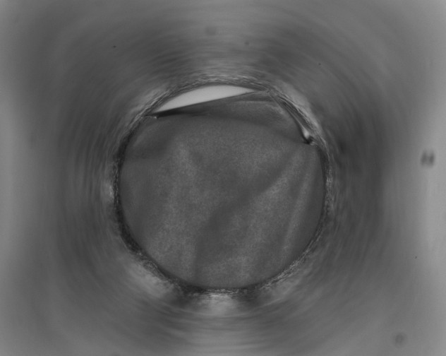 X0000096990114200802291218