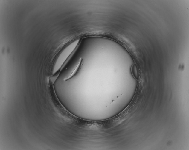 X0000096990115200802291218