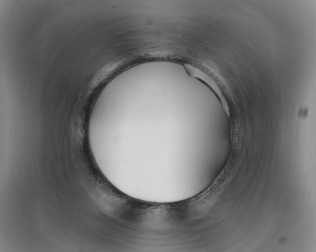 X0000096990116200802291218