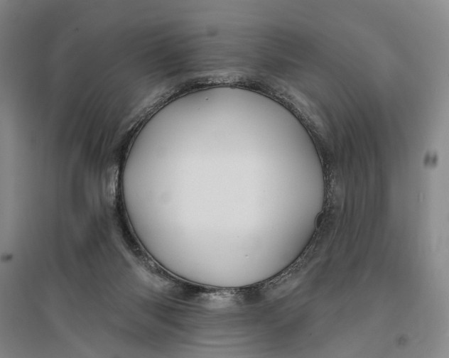 X0000096990118200802291218