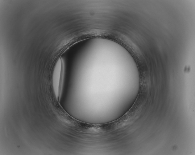 X0000096990119200802291218