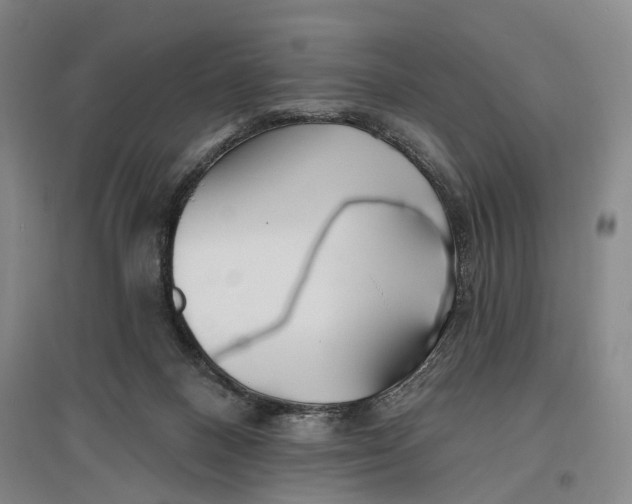 X0000096990120200802291218