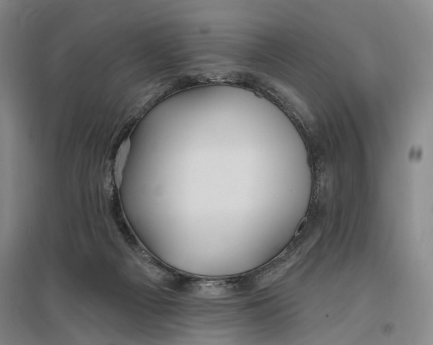 X0000096990121200802291218