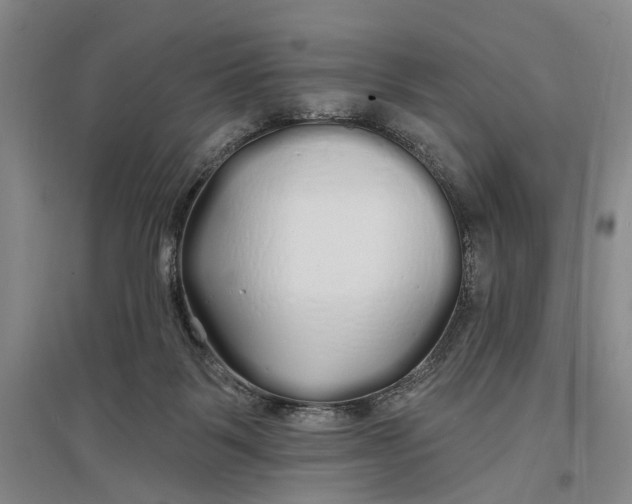 X0000096990123200802291218