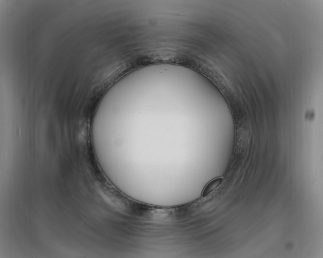 X0000096990126200802291218