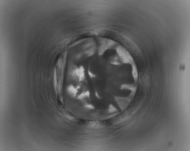 X0000096990127200802291218