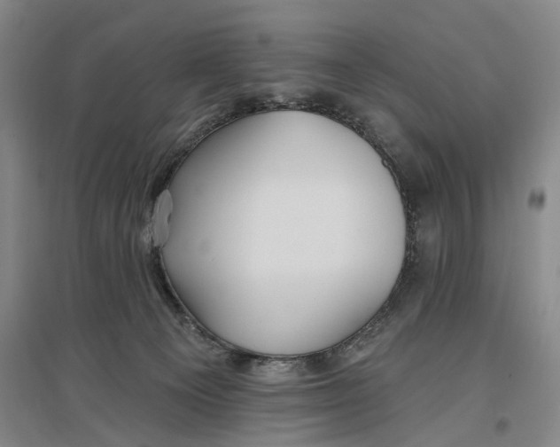 X0000096990129200802291218