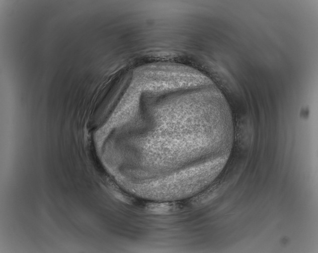 X0000096990131200802291218