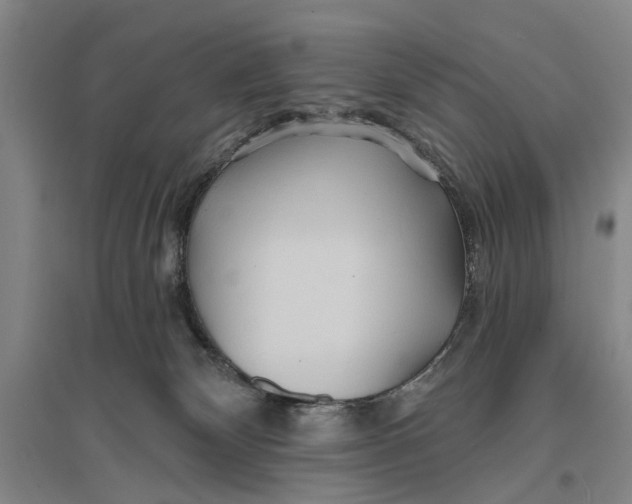 X0000096990132200802291218