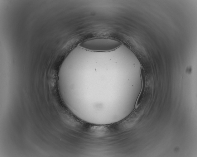 X0000096990133200802291218