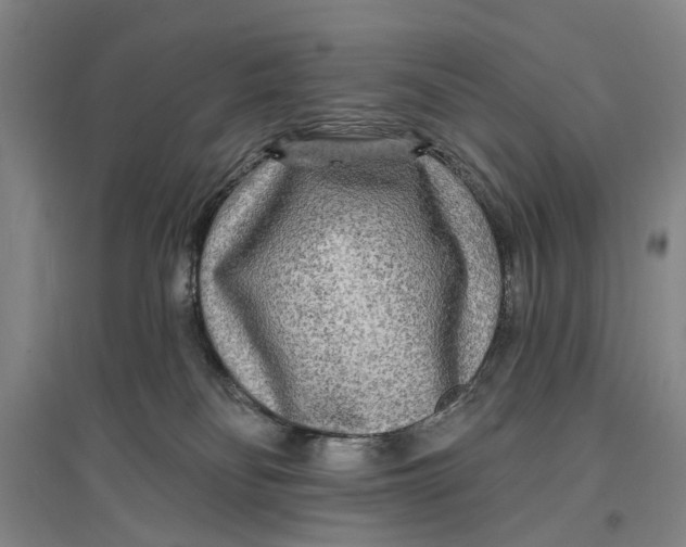 X0000096990134200802291218