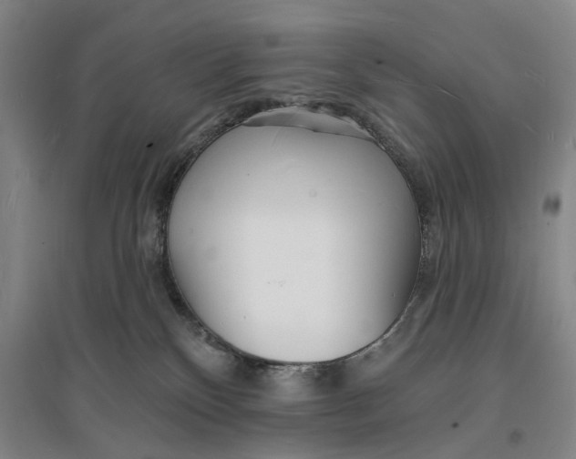 X0000096990136200802291218