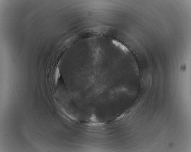 X0000096990137200802291218