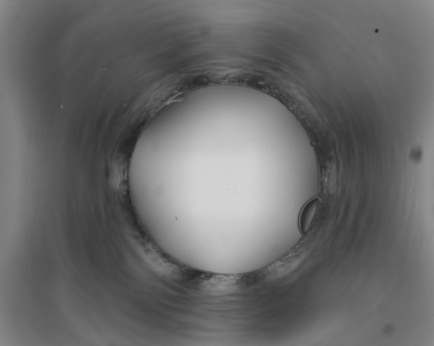 X0000096990138200802291218