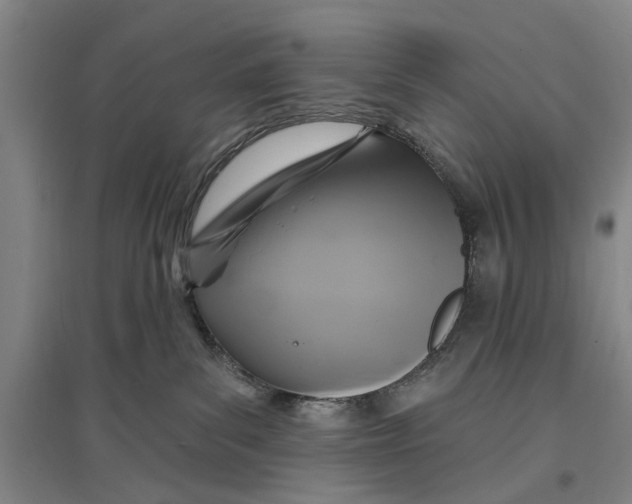 X0000096990139200802291218