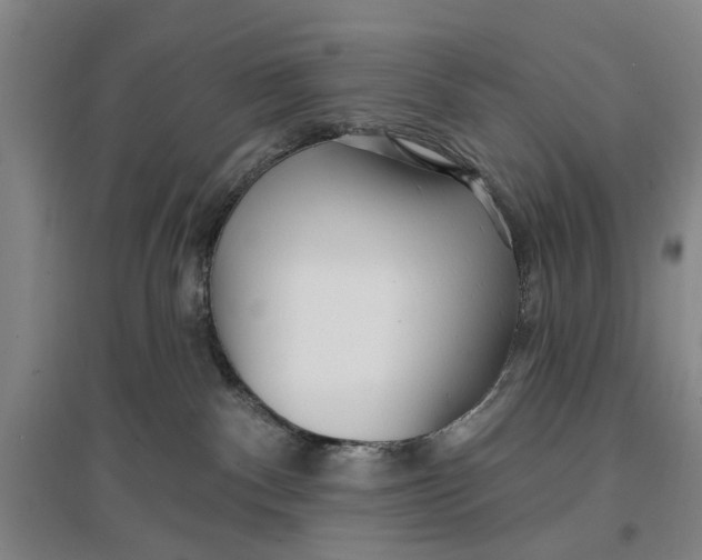 X0000096990140200802291218