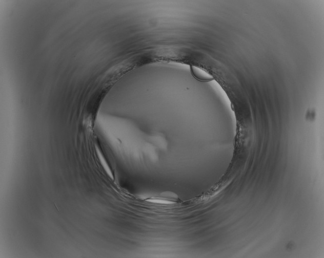 X0000096990143200802291218