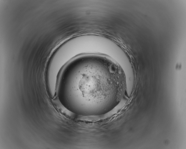 X0000096990146200802291217