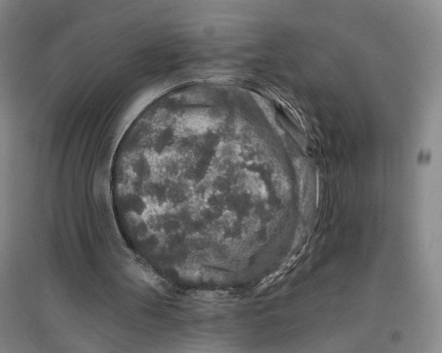 X0000096990147200802291217