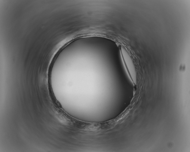 X0000096990148200802291217