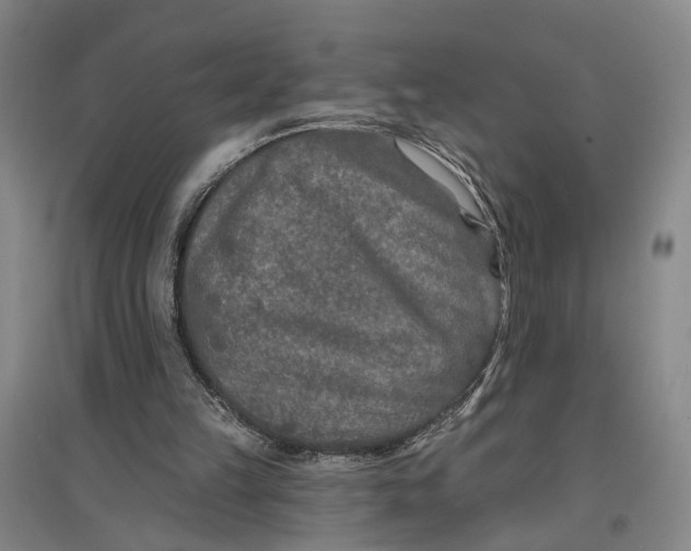 X0000096990149200802291217