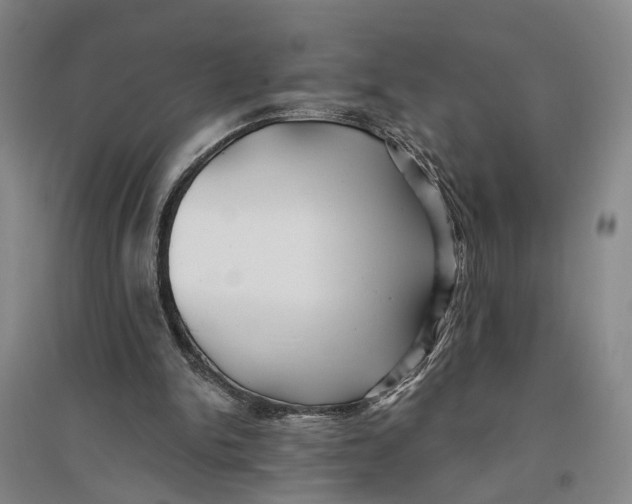 X0000096990150200802291217