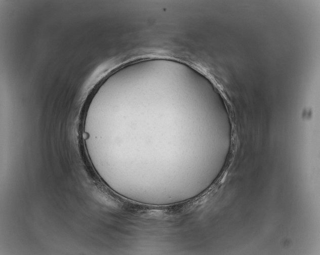 X0000096990151200802291217