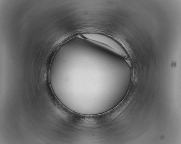 X0000096990157200802291217