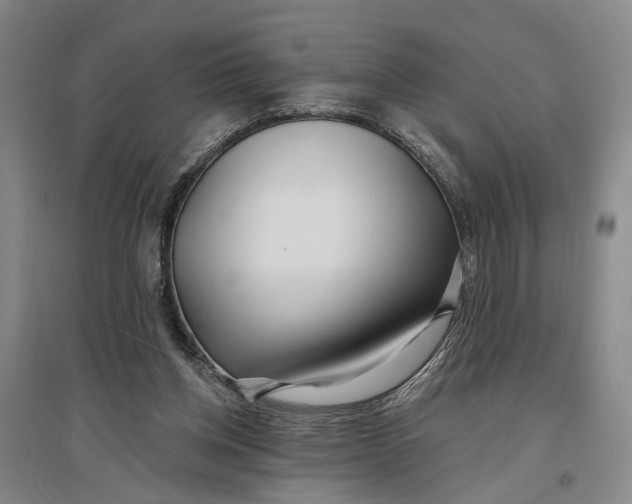 X0000096990158200802291217