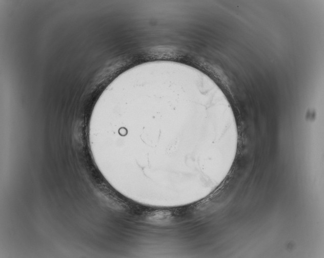 X0000096990162200802291217