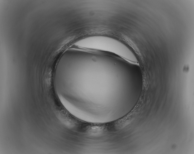 X0000096990163200802291217