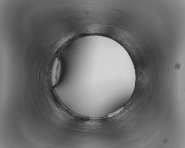 X0000096990164200802291217