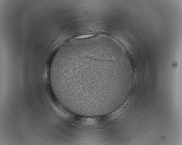 X0000096990166200802291217