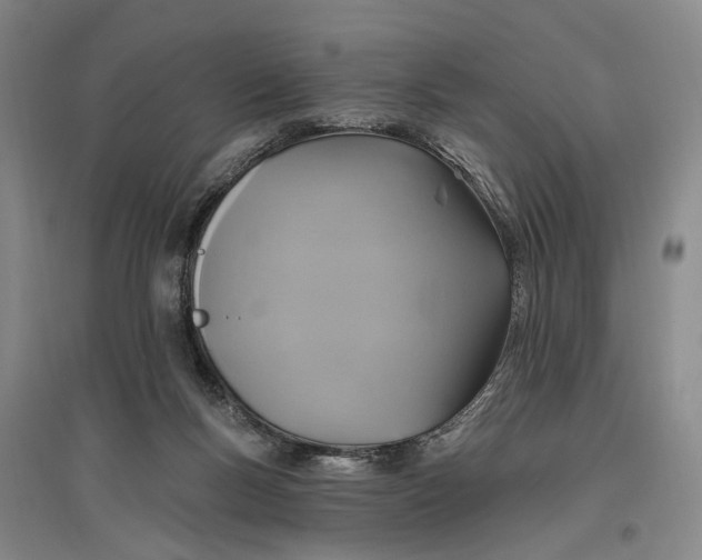 X0000096990167200802291217