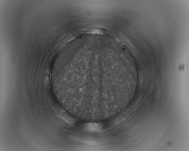 X0000096990169200802291217