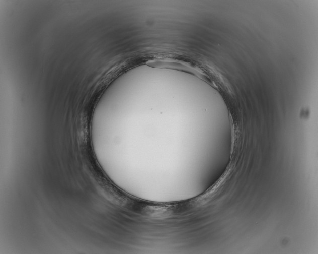 X0000096990170200802291217